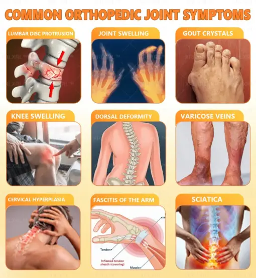 XRLXRL™ Bee Venom Pain-Relief Bone Healing Cream
